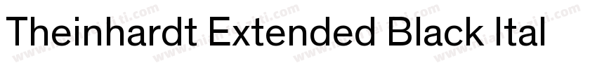 Theinhardt Extended Black Italic字体转换